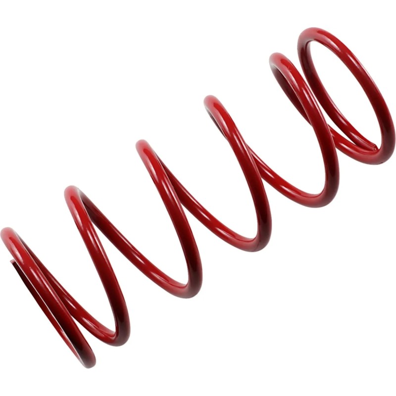 Secondary Clutch Spring