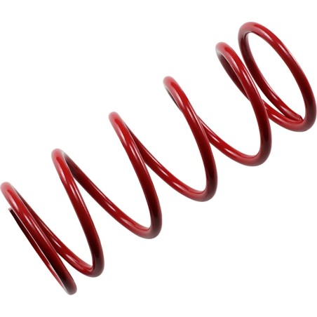 Secondary Clutch Spring