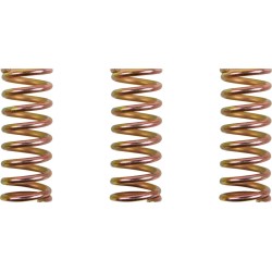Clutch Spring Kit