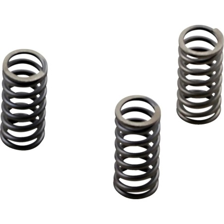 CSK Series Heavy Duty Clutch Spring Kit