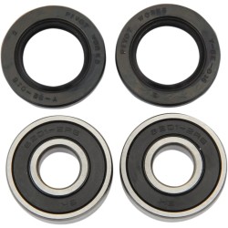 Wheel Bearing and Seal Kit
