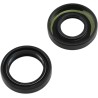 Crankshaft Oil Seal Kit