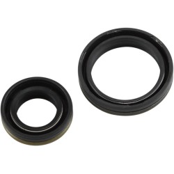 Crankshaft Oil Seal Kit