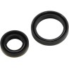 Crankshaft Oil Seal Kit