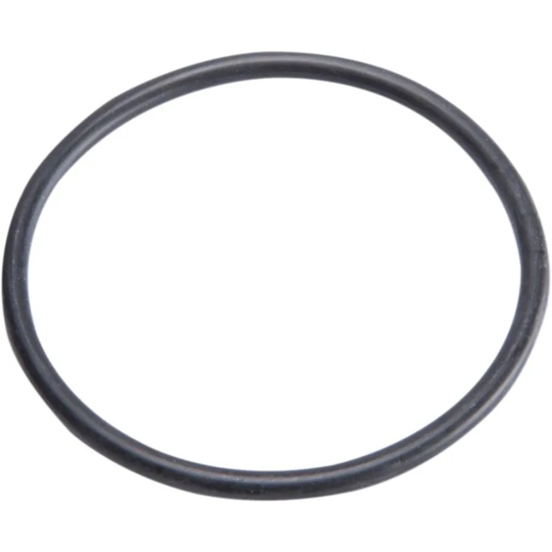 Top Cap O-Ring