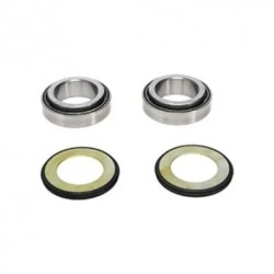 STEERING BEARING KIT