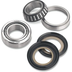 Steering Stem Bearing Kit