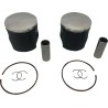 Piston Kit for 2 Stroke