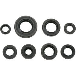 Motor Oil Seals