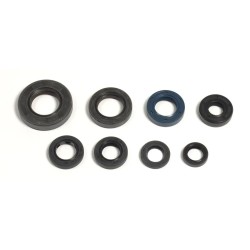 Engine Oil Seal