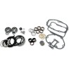 Transmission Rebuild Kit