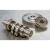 590G Gear Drive Camshaft Kit
