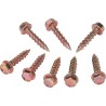Clutch Cover Screw
