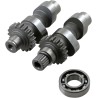 Cam Set for Chain Drive
