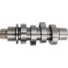 Camshaft Kit
