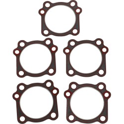 Replacement Cylinder Head and Compliance Fitting Gaskets