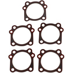 Replacement Cylinder Head and Compliance Fitting Gaskets
