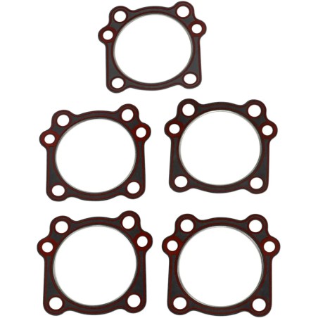 Replacement Cylinder Head and Compliance Fitting Gaskets