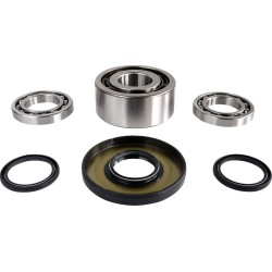 Differential Bearing Seal Kit
