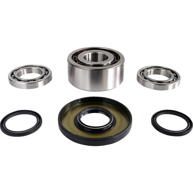 Differential Bearing Seal Kit