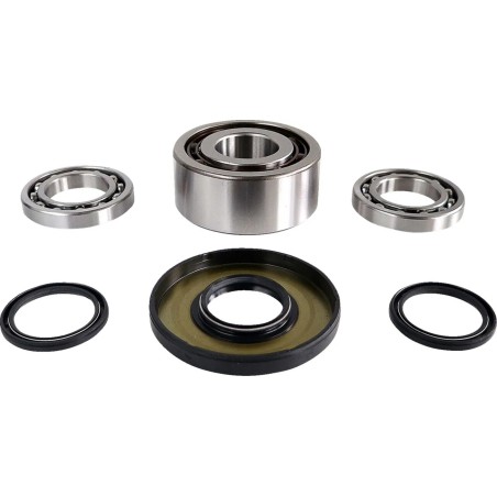 Differential Bearing Seal Kit