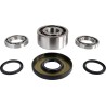 Differential Bearing Seal Kit