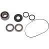Bearing Seal Kit