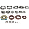 Kit roulements/joints de transaxle