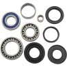 Bearing Seal Kit