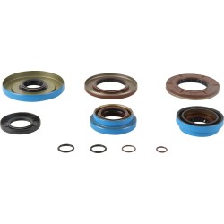 Transaxle Bearing Seal Kit