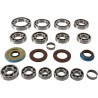 Transaxle Bearing Seal Kit