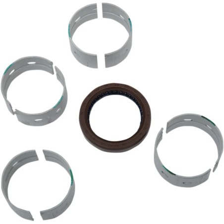 Crankshaft Main Bearing and Seal Kit