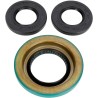 Differential Seal Kit
