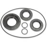 Differential Seal Kit