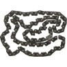 Cam Chain