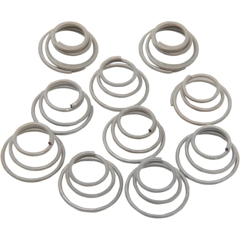 Hub Bearing Plate Retainer Springs