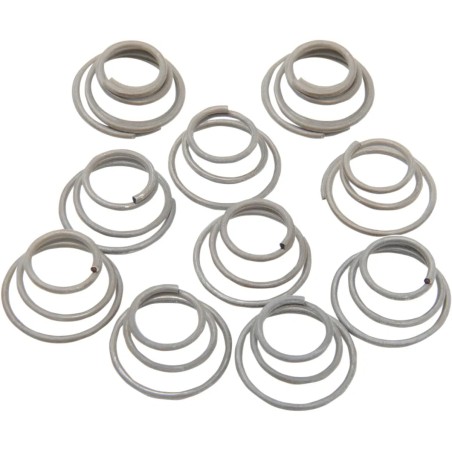 Hub Bearing Plate Retainer Springs
