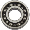 Shifter Drum Bearing