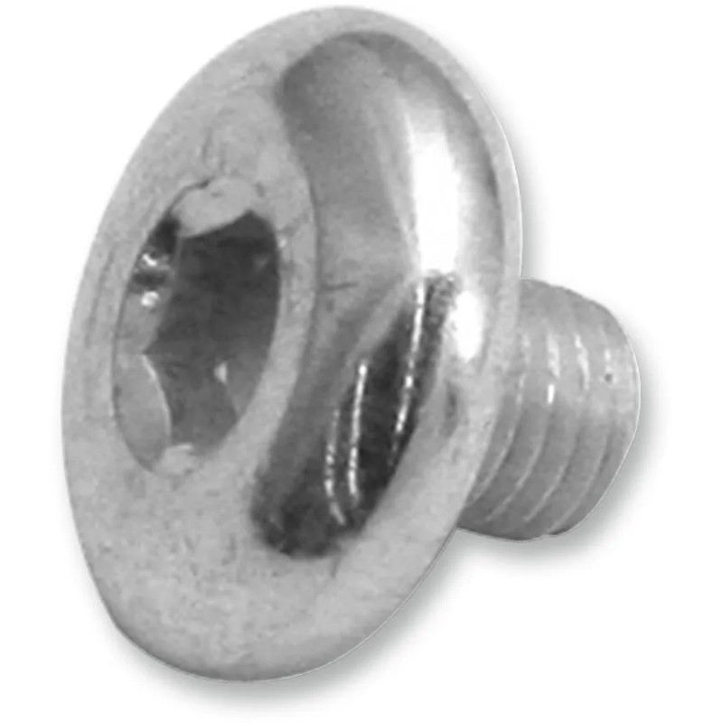 Replacement Air Cleaner Screw
