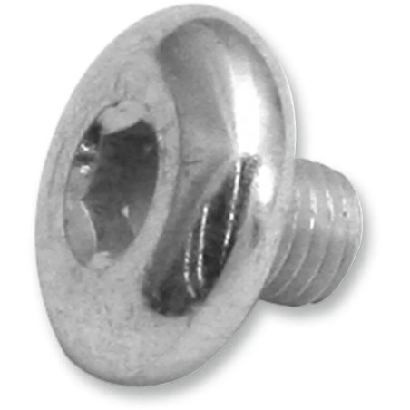 Replacement Air Cleaner Screw