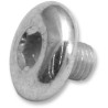 Replacement Air Cleaner Screw
