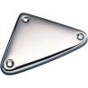 Chrome Ignition Module Cover