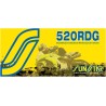 520 RDG Drive Chain