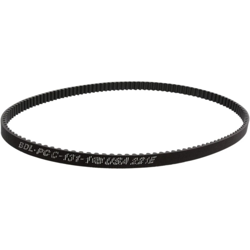 Rear Drive Belt