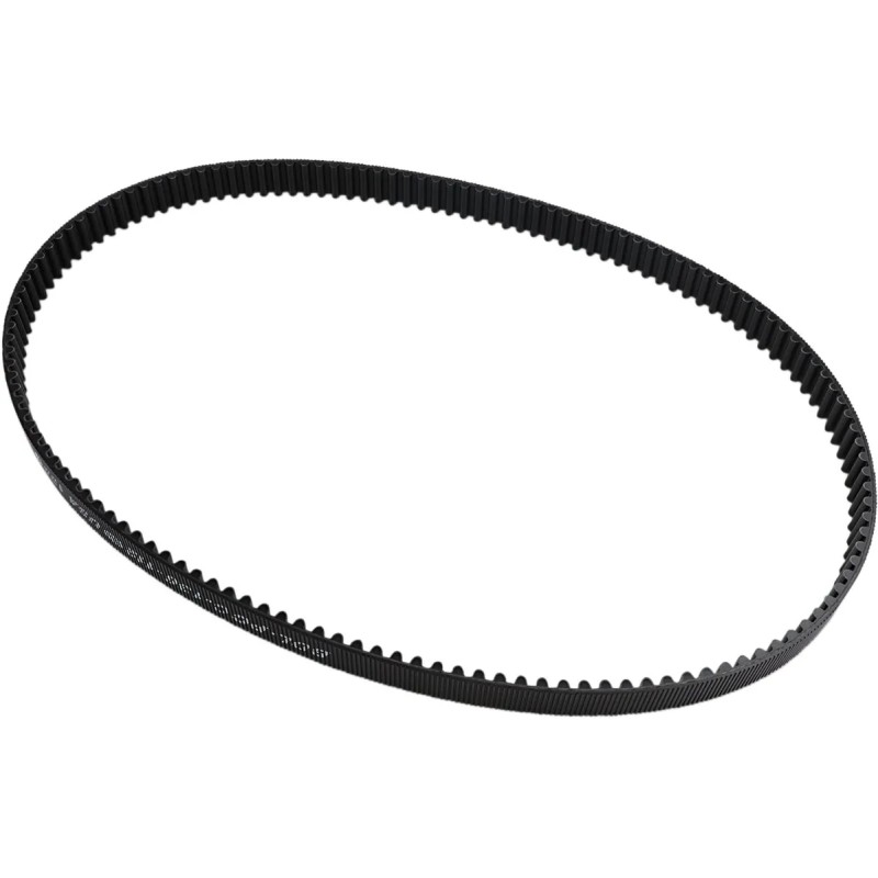 Rear Drive Belt