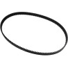 Rear Drive Belt