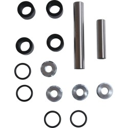 Rear Suspension Knuckle Kit