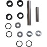 Rear Suspension Knuckle Kit