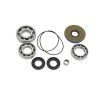 Differential Seal Kit