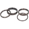 Variator Restrictor Ring Set